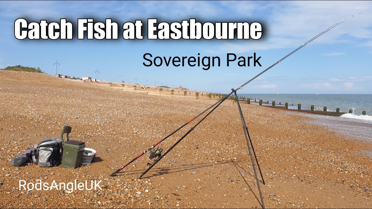 fishing trips in eastbourne