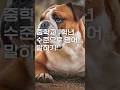 대박 쉽게 영어말하기!(1)#영어말하기#기초영어회화