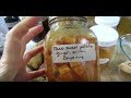  fermented ginger onion sweet potatoes keto  diabetic friendly 