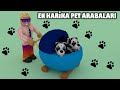 En Harika Pet Arabaları | Hayranlarla Gezdik  | Roblox Adopt Me