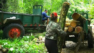 Hauling Massive Logs by Tractor to Sell — A Young Couple’s Journey Through Hard Times