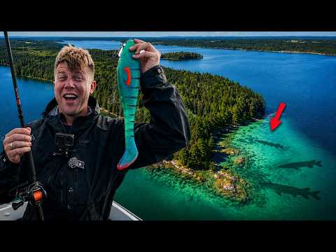 We returned to a lake FULL of giants...