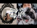 DAY IN MY LIFE: small youtuber, puppy&#39;s vet appt and how much it cost!