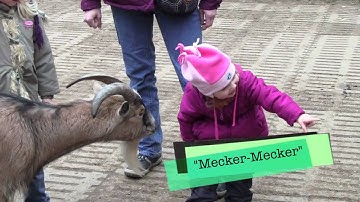 Vivarium 26 Feb 2011