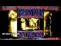 Temple of the dog full album