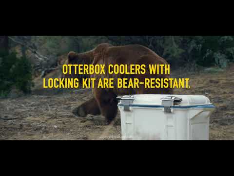 Video: Pengujian Bear-Proof Cooler: Di Mana Merek Mengirim Prototipe Untuk Dianiaya