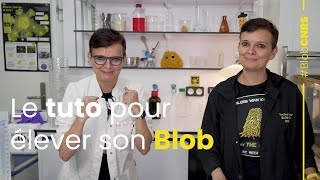 Comment élever un blob ? | Derrière le blob, la recherche