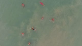 Insolite : ils se baignent toute l'année dans la Manche !