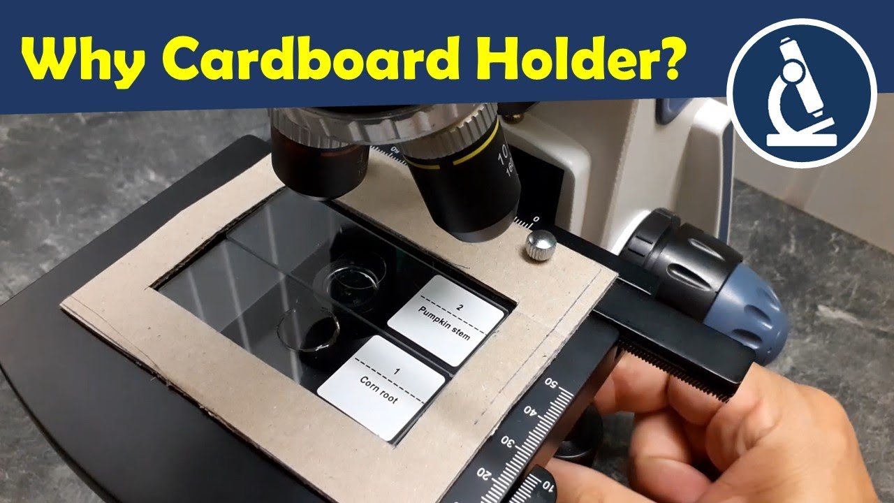 🔬 Cardboard microscope slide holder Amateur Microscopy YouTube