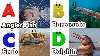 ABC Sea Animals song | Learn Alphabets | English and Animals for Kids | Alphabets Kids Song