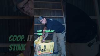 Celebrity We Only Clean Our Chicken Coop 2X A Year And It DOESN’T STINK! Here’s How! Net Worth