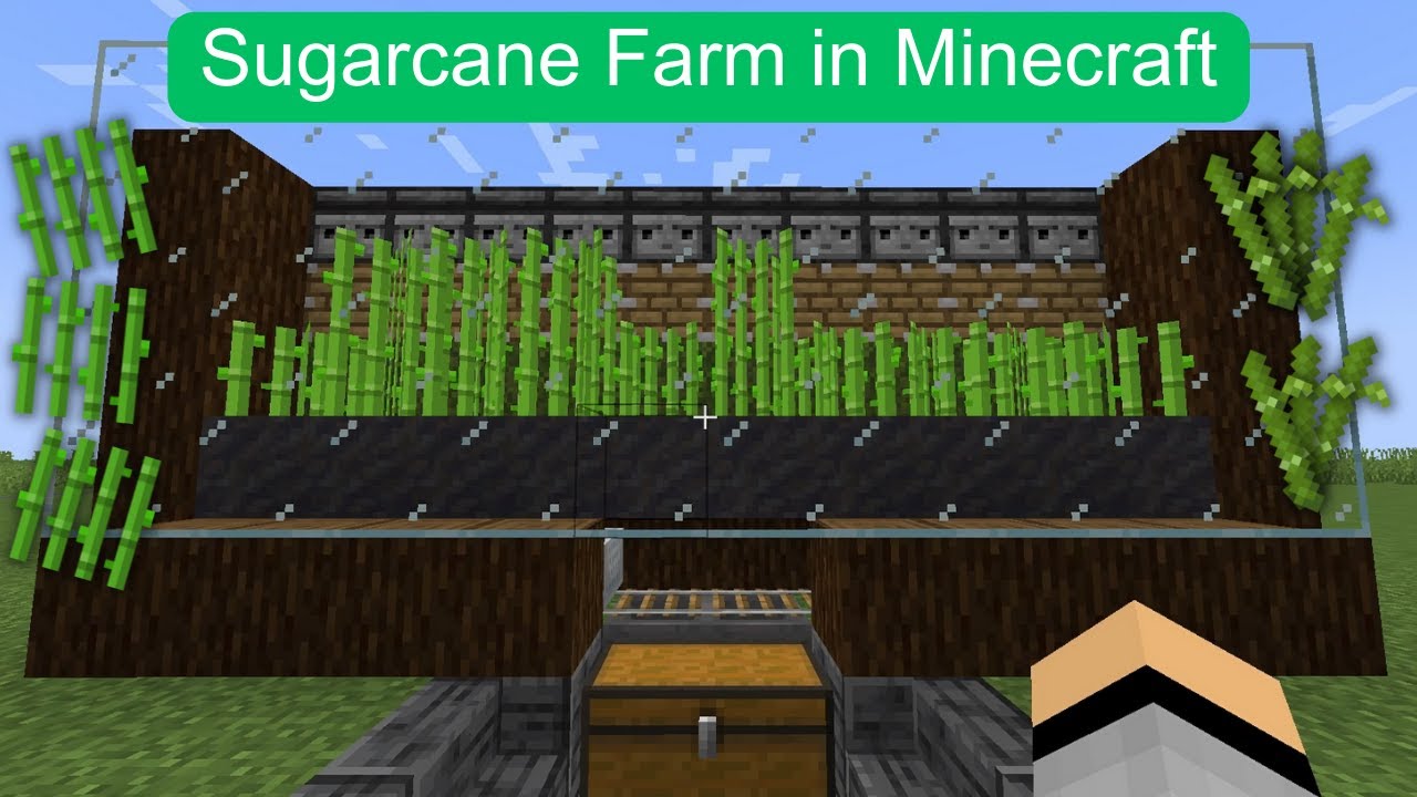 How to make a Sugarcane/Bamboo farm in Minecraft #minecraft - YouTube