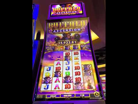 probando slot de casinos en línea de México winner parte 12