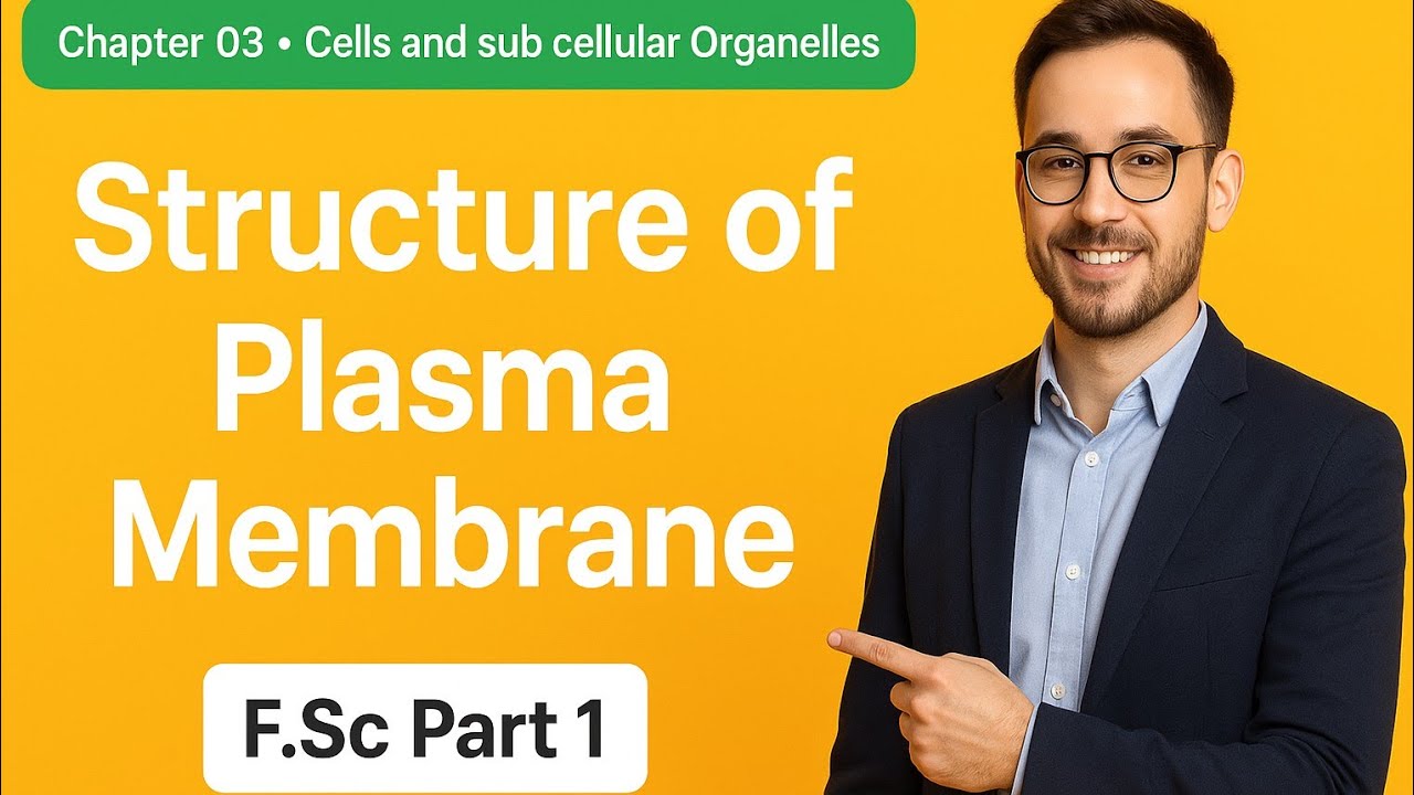 Structure of Plasma membrane | Fluid Mosaic Model | Chapter 3 | Cells ...