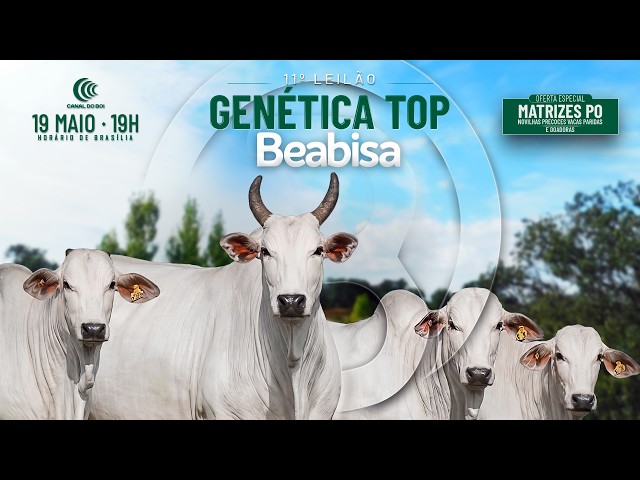 LOTE 07