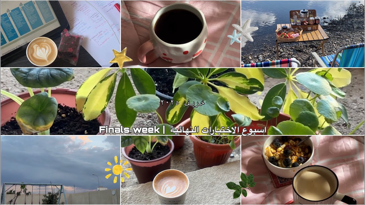 اسبوع الاختبارات النهائية خريف ٢٠٢٥📖👩🏻‍⚕️🏫🌟 #جامعة_السلطان_قابوس #oman #اكسبلور 