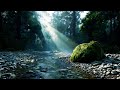 Peaceful Tropical River Sounds for Deep Sleep | Relaxing Jungle Water Ambience (10 Hours)