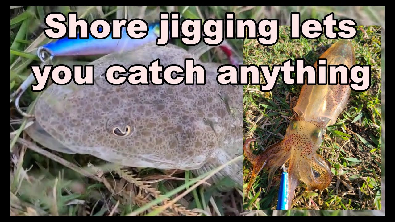 Gold Coast SEAWAY SPIT fishing Land base Tailor Queen Squid  Flathead!