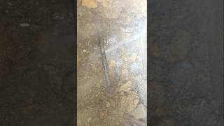 Hidden water leak 1 Litre every 6 seconds! #originalleakdetective #leakdetection #shorts #plumbing