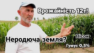 Самая плохая земля в Украине! Как фермер выращивает в 120ц/га на песке? Система капельного орошения