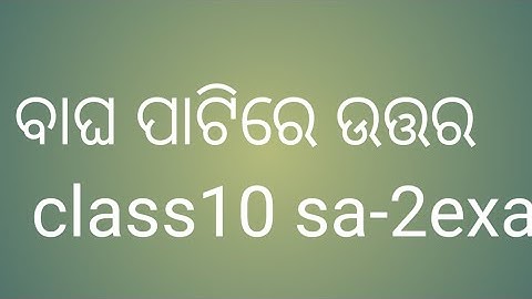 English answer class10 p2