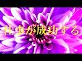 仕事が成功する・大成功・聴く流すだけでどんどん大成功へ近ずく魔法の音楽♬