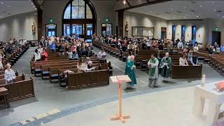 Fifth Sunday in Ordinary Time.