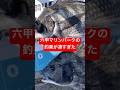 六甲マリンパークの釣果が凄すぎた #shorts #short