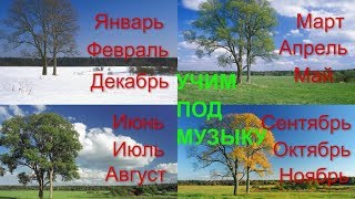 Учим месяцы года. Буба и Жужа. Детский Клуб.