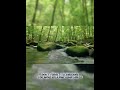 Relaxing ASMR videos #asmr #nature #calmnature