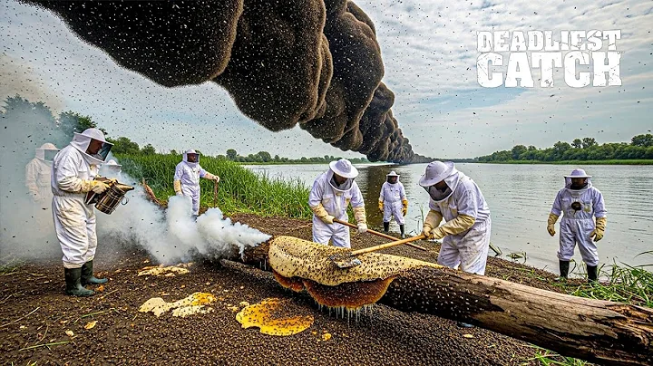 Invasive Bees: America’s $700 Million Honey Industry Under Attack