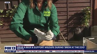 Grab a beer and support wildlife during Brew at the Zoo