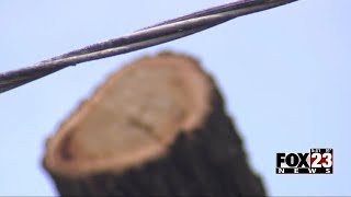 Video: FOX23 Investigates: What happened in the moments following a tree trimmer's tragic death