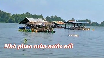 Kí ức miền Tây - Mùa con nước nhảy bờ