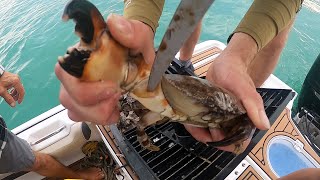 STONE CRAB On Fish | Catch and Cook - Best Recipe Yet | Englewood, FL.