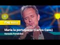 Gonzalo Fernández – “María la portuguesa” (Carlos Cano) | Cover Night