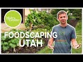 Grow food not lawns with foodscaping utah