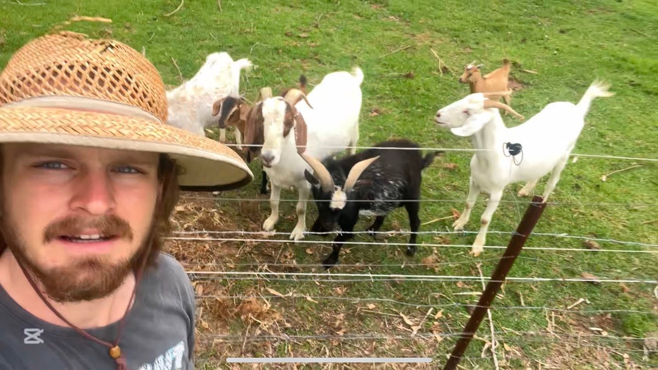 I go outside - Garden show and tell 