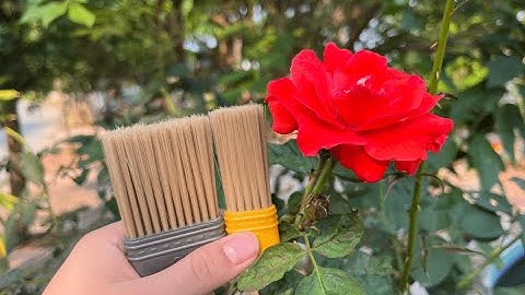 Transform Your Craft Game with the 2AXIS Paint Brush Tufting Machine 🚀 - Last Chance to Order!