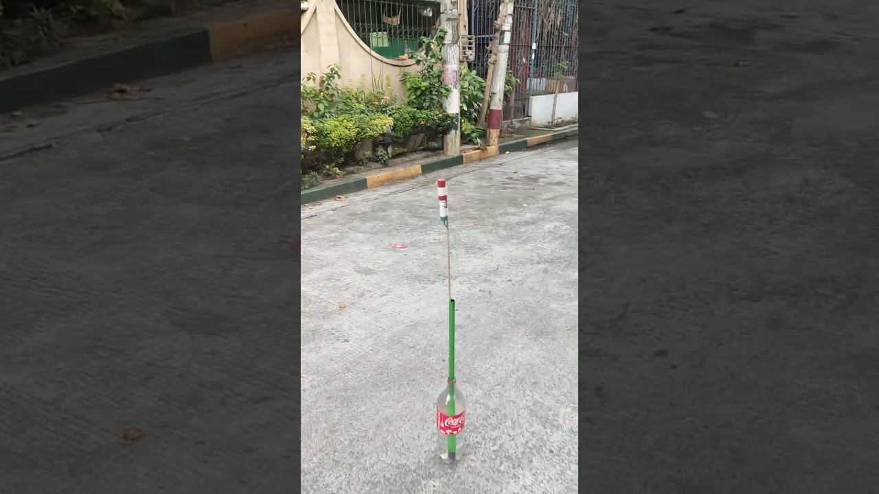 Spider Big Kwitis, champion! 🔥