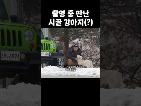 자동차랑 같이 달리는강아지 (출연욕심킹짱) | 흰눈 쌓인날 경반분교 랭글러 오프로드 <strong>Jeep</strong> 지프 |