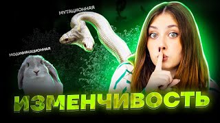 Изменчивость за час | Биология ЕГЭ для 10 класса | Умскул