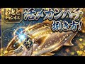 [魚の捌き方]活〆カンパチ捌き方！お造り