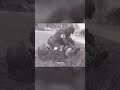 Brest 1944: Ranger Medics Under Fire