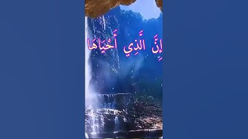 التلاوة التي خلدها التاريخ للشيخ محمد السايح #القرآن_الكريم #كنوز_القرآن