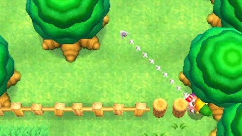 ALBW - Pegs Skip for Kakariko Maiamai with Hookshot