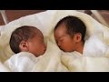 【感動】生後わずか2週間で亡くなった双子の赤ちゃんが 教えてくれたこと【涙腺崩壊】