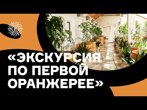 Видео: Как устроены оранжереи?