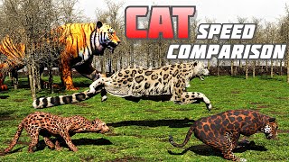 Big Cat SPEED COMPARISON wildlife 3D | Tiger , Lion, Cheetah
