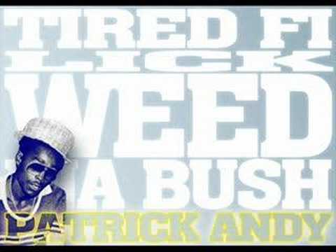 Patrick Andy - Tired Fi Lick Weed Ina Bush